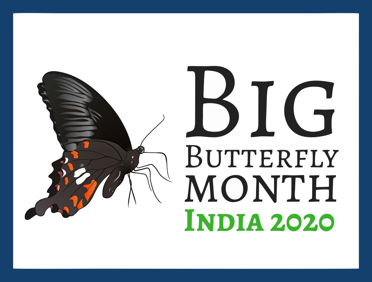 Big Butterfly Month